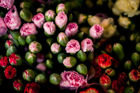 Vibrant colored flowers at a market in Hong Kongの写真素材