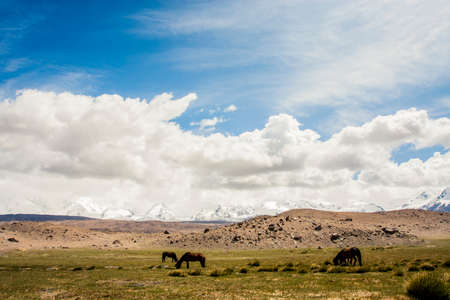 View of the Karakoram mountain range in northern Pakistan and western Chinaの写真素材