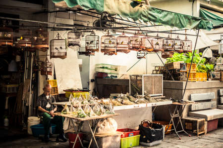 Hong Kong, China - October 10, 2010: A shopkeeper at his desk at the Yuen Po Bird Garden in Mongkok districtのeditorial素材