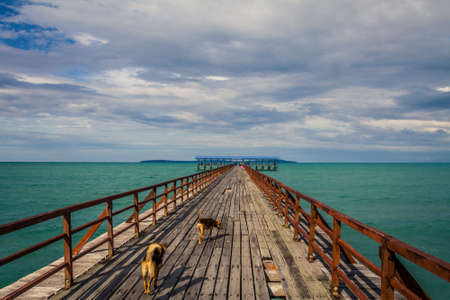 Old wooden pier leading far into the seaの写真素材