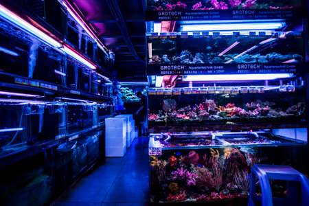 Hong Kong, China - 4 July, 2013: Inside of a shop with exotic fish  and corals on Tung Choi Street in Mongkok.のeditorial素材