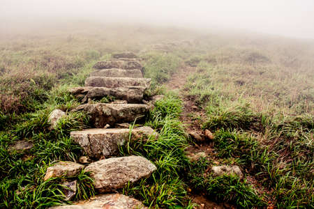 Hiking path through the mountains with a heavy layer of fogの写真素材