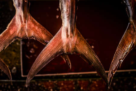 Fresh fish at a marketの写真素材