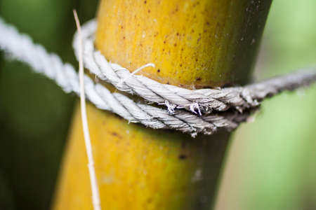 Detail of ropeの写真素材