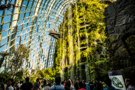 Singapore, Singapore - 7 January, 2017: The Cloud Forest dome and environment at the Gardens by the Bay Complexのeditorial素材