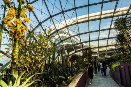 Singapore, Singapore - 7 January, 2017: The Cloud Forest dome and environment at the Gardens by the Bay Complexのeditorial素材