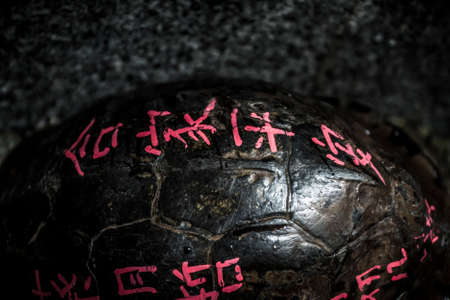 Kuching, Malaysia - 29 November, 2009: Good fortune proverbs are written in Chinese on the shell of a live turtle at a templeの写真素材