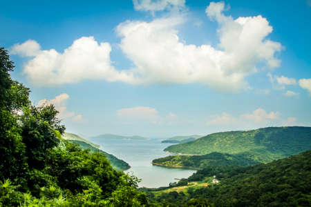 Jungle with the sea on a sunny dayの写真素材