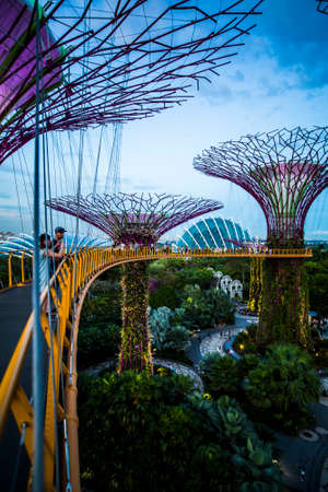 Singapore, Singapore - 7 January, 2017: Gardens by the Bay at twilight on a warm evening