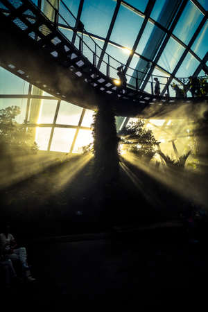 Singapore, Singapore - 7 January, 2017: The Cloud Forest dome and environment at the Gardens by the Bay Complexのeditorial素材