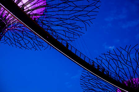 Gardens by the Bay in Singapore at nightのeditorial素材