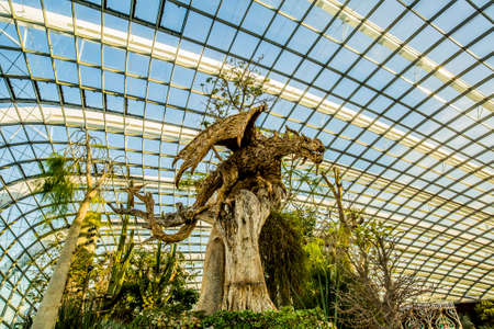 Singapore, Singapore - 7 January, 2017: The Cloud Forest dome and environment at the Gardens by the Bay Complexのeditorial素材