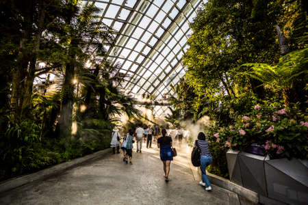 Singapore, Singapore - 7 January, 2017: The Cloud Forest dome and environment at the Gardens by the Bay Complexのeditorial素材