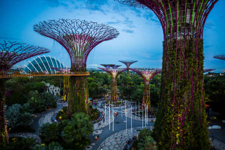 Gardens by the Bay in Singapore at night