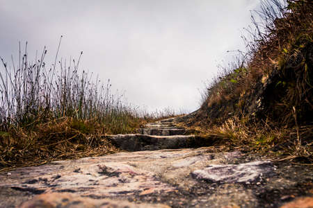 Hiking trail in Hong Kongの写真素材