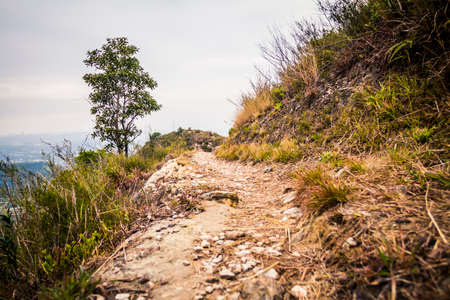 Hiking trail in Hong Kongの写真素材