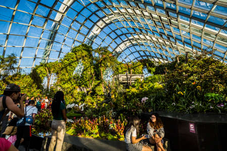 Singapore, Singapore - 7 January, 2017: The Cloud Forest dome and environment at the Gardens by the Bay Complexのeditorial素材