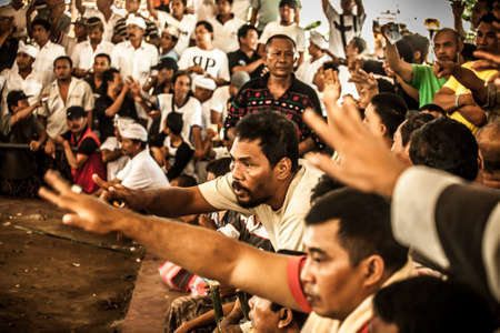 Bali, Indonesia - 13 April, 2013: Cock fighting at an aerna on the outskirts of Denpassar on the island of Bali, Indonesiaのeditorial素材