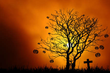 Halloween night backgroundの写真素材