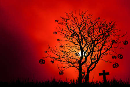 Halloween night backgroundの写真素材