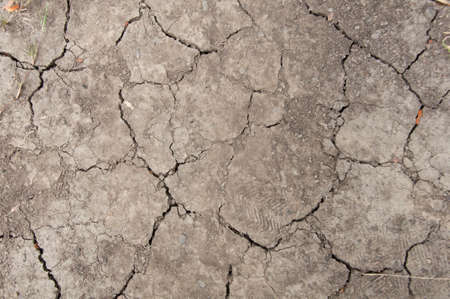 cracked soil textureの写真素材