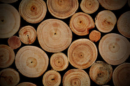 Grunge Logs Wood Backgroundsの写真素材