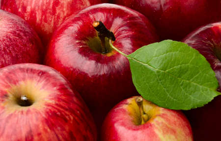 Fresh Red Apples and Green Leafの写真素材