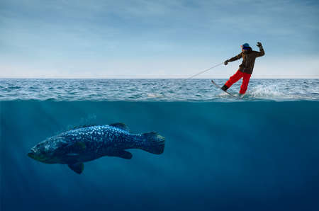 Snowboarder Surfing on Waves with the Fish on a Leashの写真素材