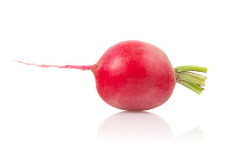 Single Radish Isolated on White Backgroundの写真素材