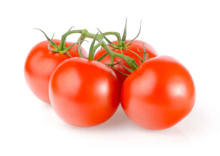 Fresh Tomatoes on White Backgroundの写真素材