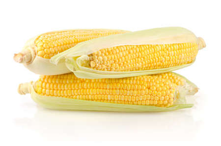 Corn Ears Isolated on White Backgroundの写真素材