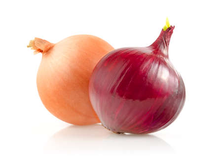 Onion Bulbs Isolated on White Backgroundの写真素材