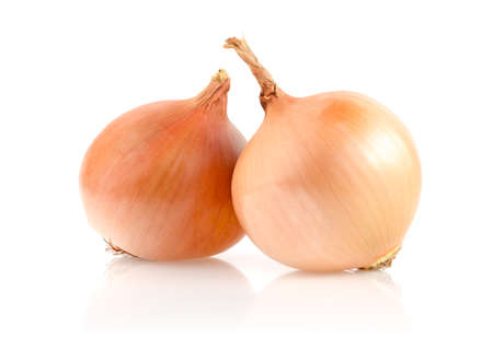 Onion Bulbs Isolated on White Backgroundの写真素材
