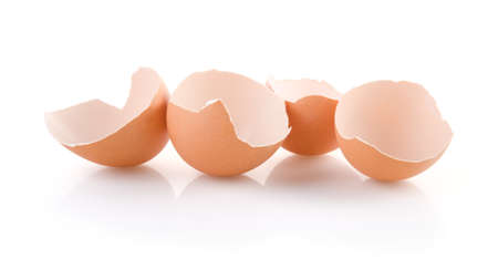 Brown Broken Eggs isolated on white backgroundの写真素材