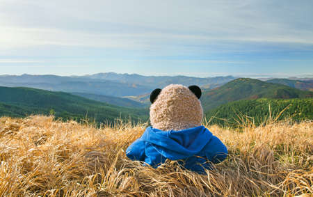 Lonely Teddy Bear looking at the mountainsの写真素材