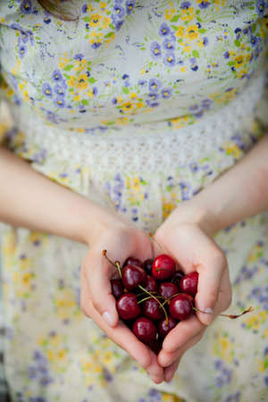 Female hands holding fresh sour cherries