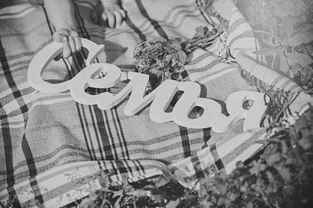 plate familyの写真素材