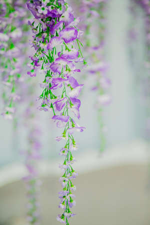 Beautiful interior in the style of Provenceの写真素材