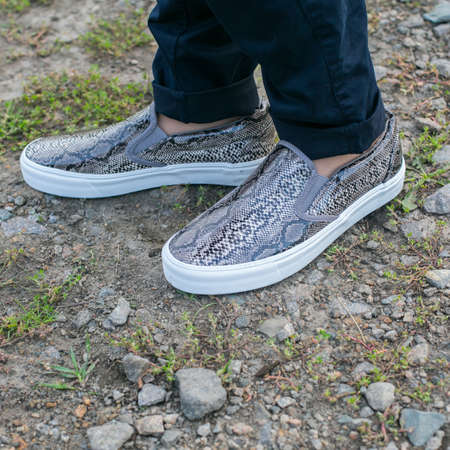 Beautiful female shoes snakeskin flat shoesの写真素材