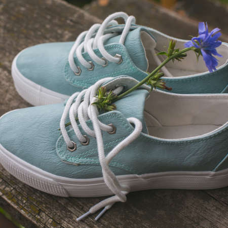 new womens shoes and women's Accessoriesの写真素材
