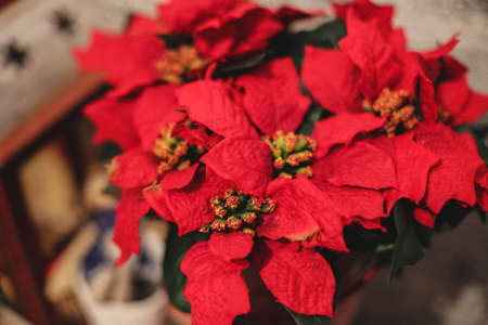Interior Christmas home decoration on the table.の写真素材