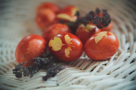 colored eggs for the Easter holiday, festive moodの写真素材