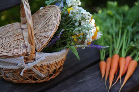 Vegetables in the basket - healthy foodの写真素材