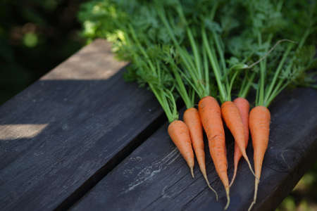 Close up of fresh carrot on rustic wooden background, top viewの写真素材