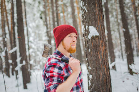 birch winter forest man with axeの写真素材