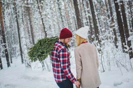 young couple in a plaid shirt with fir twigs walk in the winter woodsの写真素材