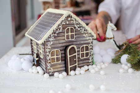Variation of Christmas stollen with cookiesの写真素材