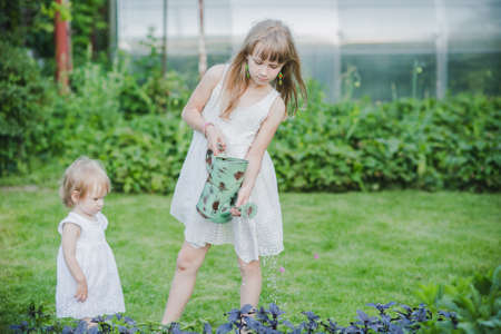 two sisters are some of the beautiful flowers with a watering canの写真素材