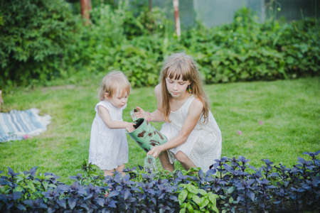 two sisters are some of the beautiful flowers with a watering canの写真素材