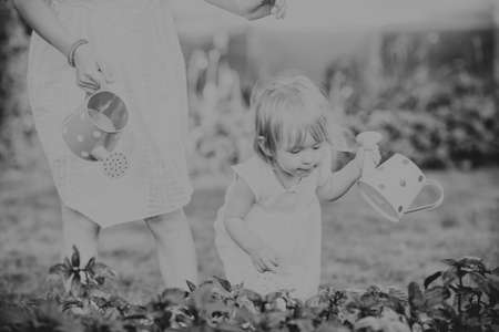 two sisters are some of the beautiful flowers with a watering canの写真素材